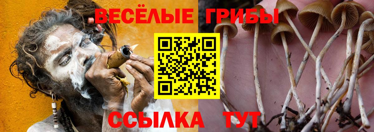 Верхняя Пышма  Псилоцибиновые грибы мухоморы  Вход с VPN 